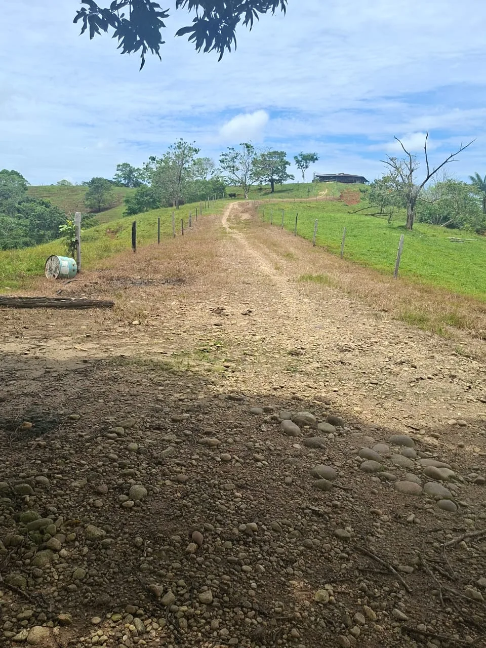 FINCA EN EL CAQUETA ENTRE PUERTO RICO Y SANVICENTE, EN LA VEREDA RIECITO - Foto 22