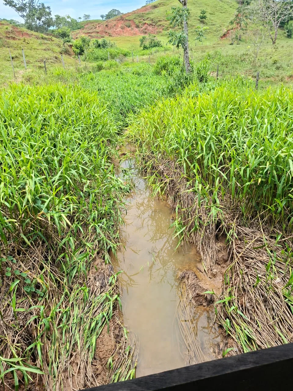FINCA EN EL CAQUETA ENTRE PUERTO RICO Y SANVICENTE, EN LA VEREDA RIECITO - Foto 16