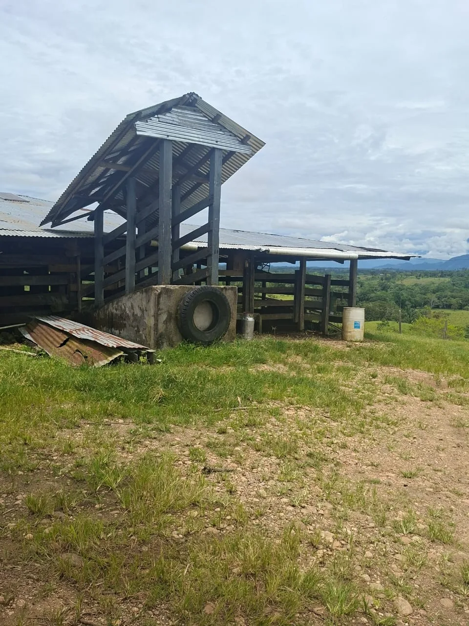 FINCA EN EL CAQUETA ENTRE PUERTO RICO Y SANVICENTE, EN LA VEREDA RIECITO - Foto 23