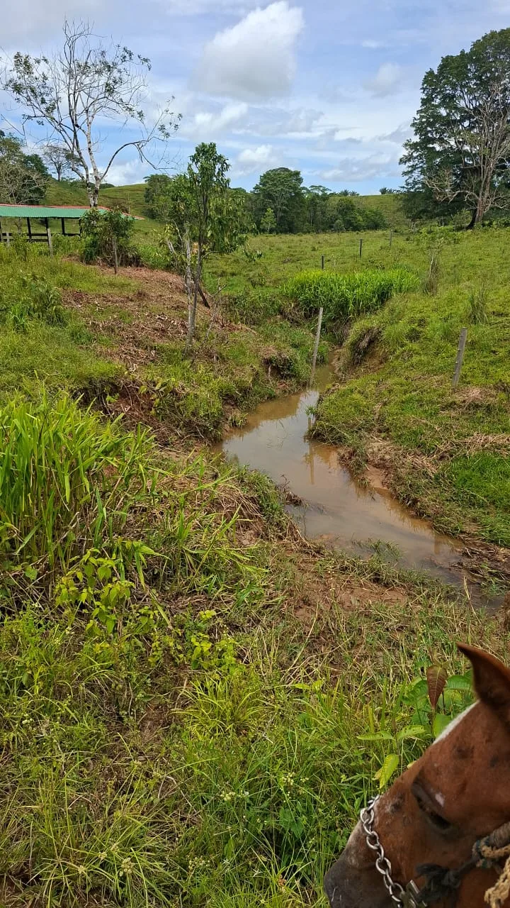 FINCA EN EL CAQUETA ENTRE PUERTO RICO Y SANVICENTE, EN LA VEREDA RIECITO - Foto 30